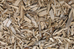 biomass boilers Ballygowan